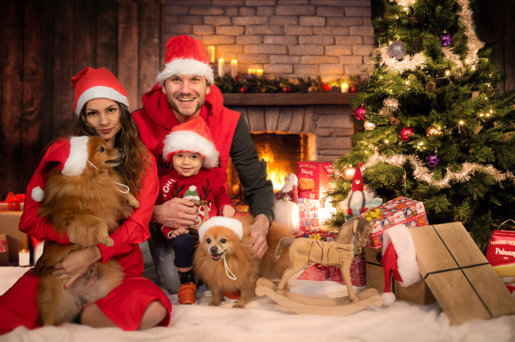 Foto Natale Villafranca di Verona